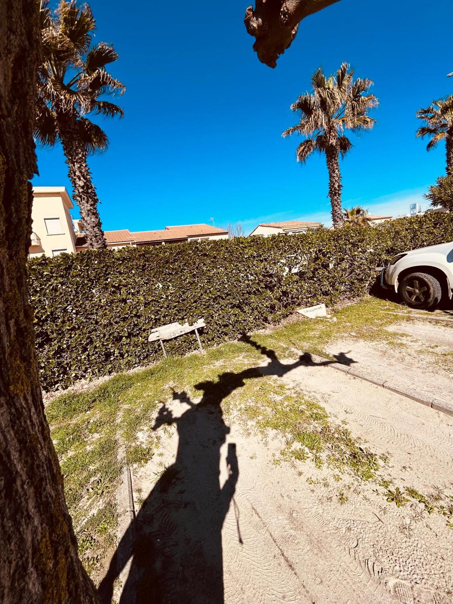 Estudio 1Ere Ligne Vue Mer ,Place De Parking Privee Acces A La Plage De La Residence 3Eme Etage Палава-ле-Фло Экстерьер фото
